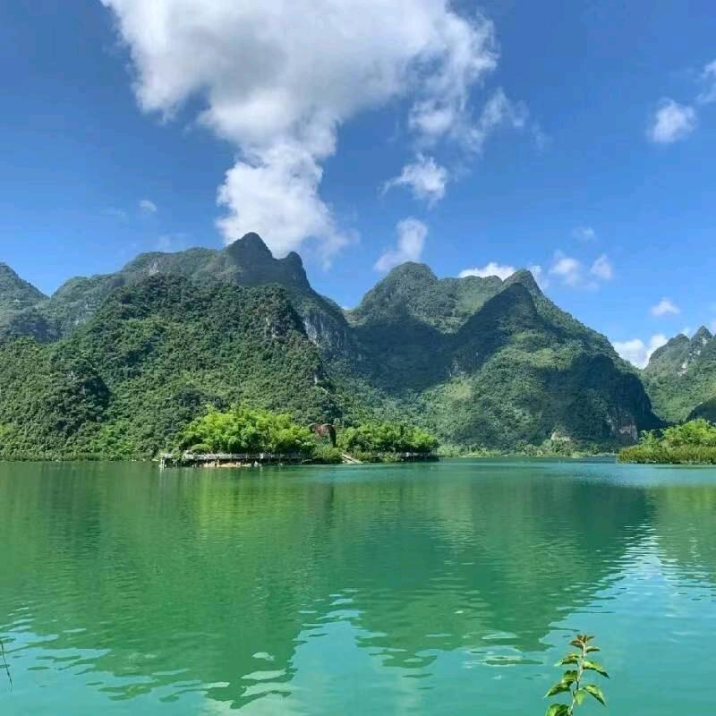 zdI放飞梦想