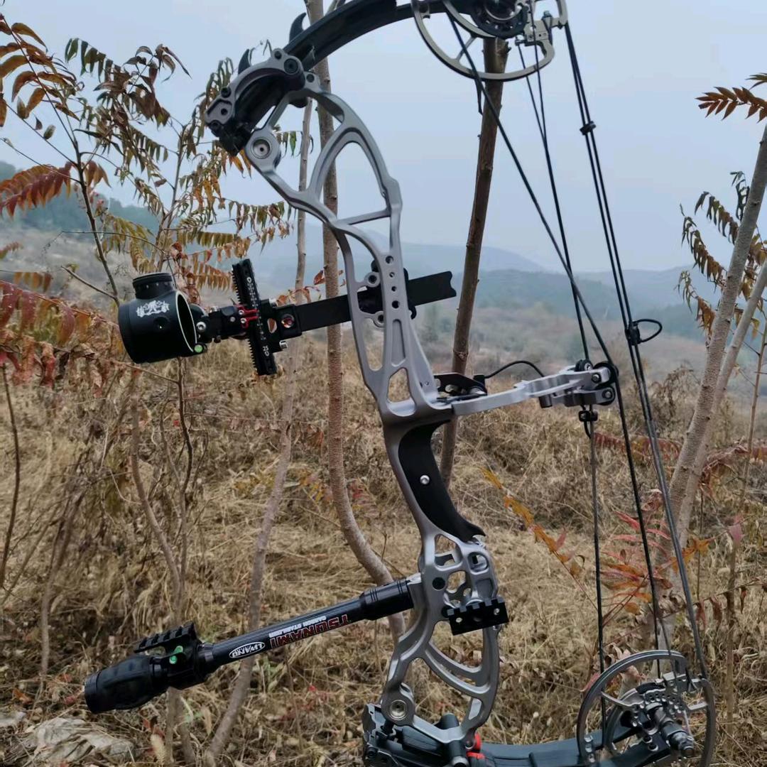 弓坊体育王多鱼