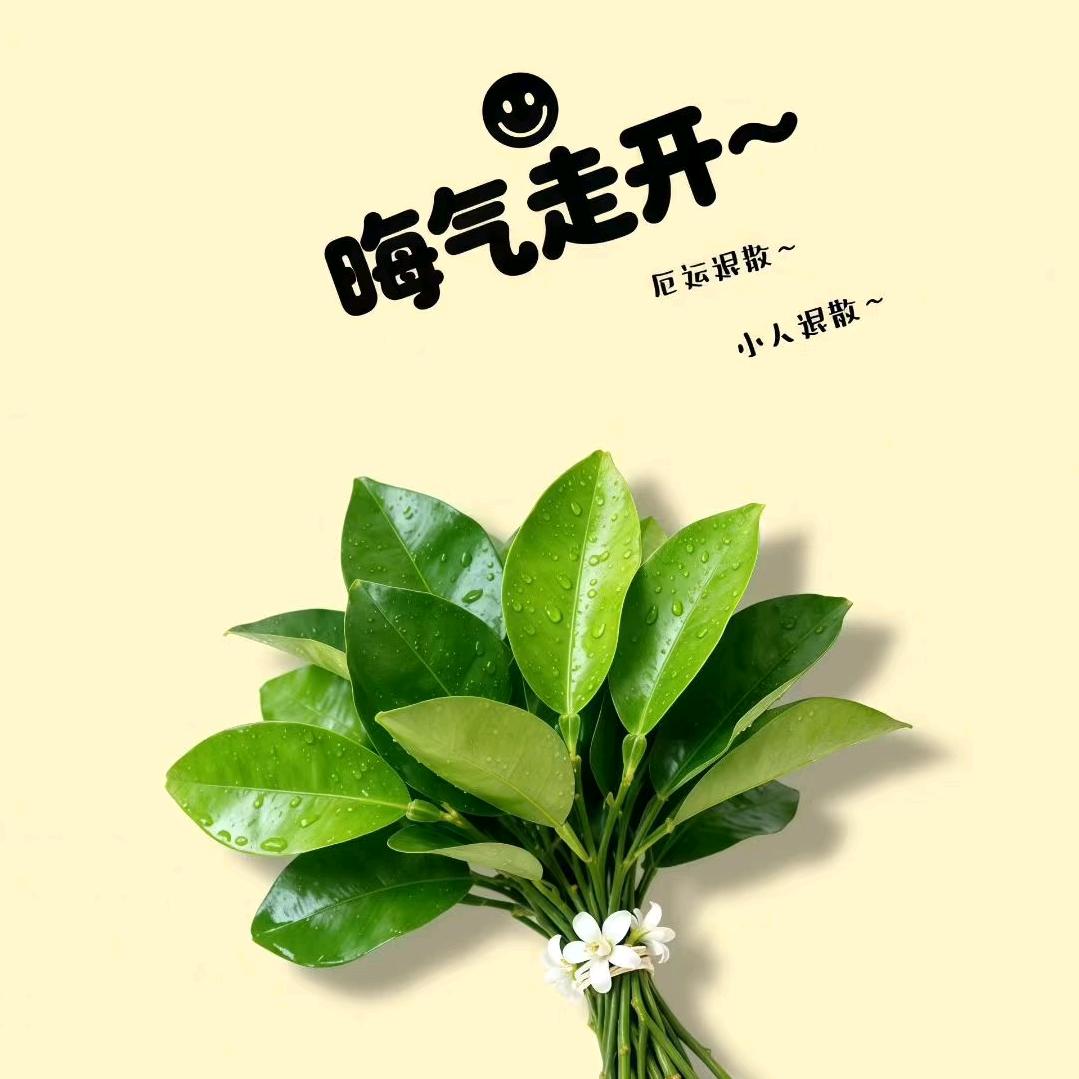 子水阁，卦佬🎣