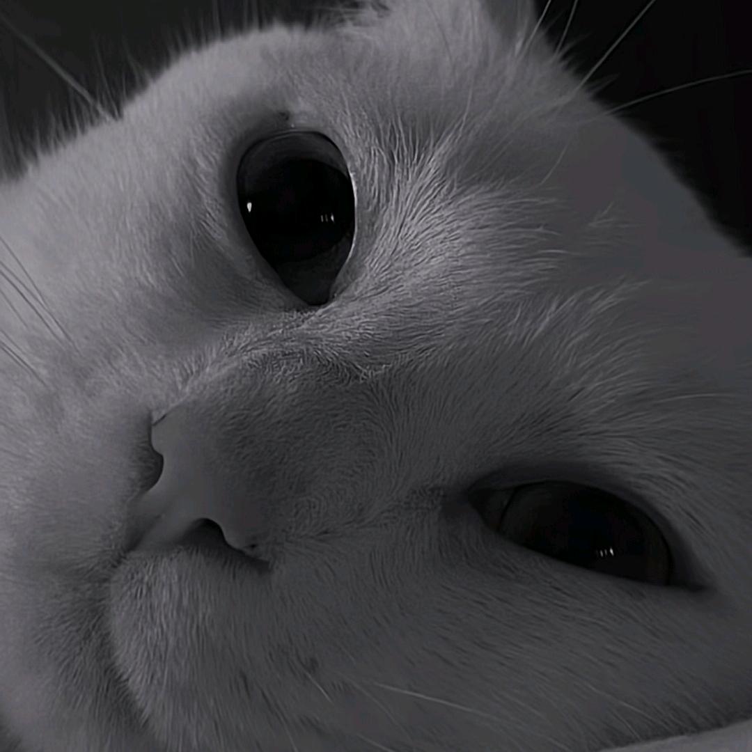 @冰是睡着的水