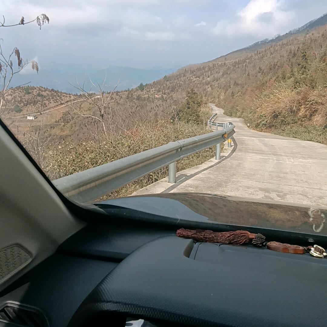 飘零人