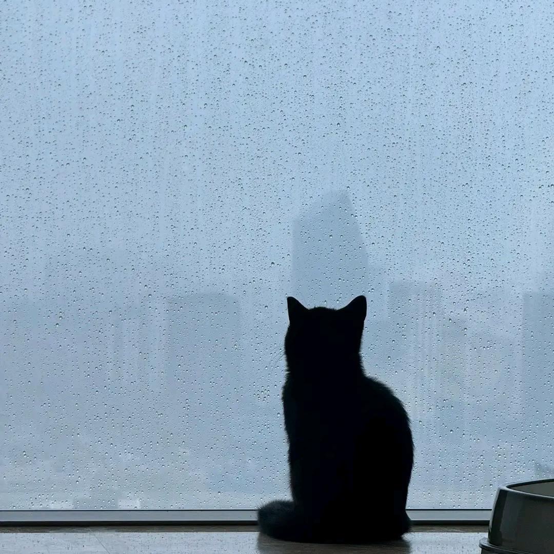 他叫我小波浪欸~