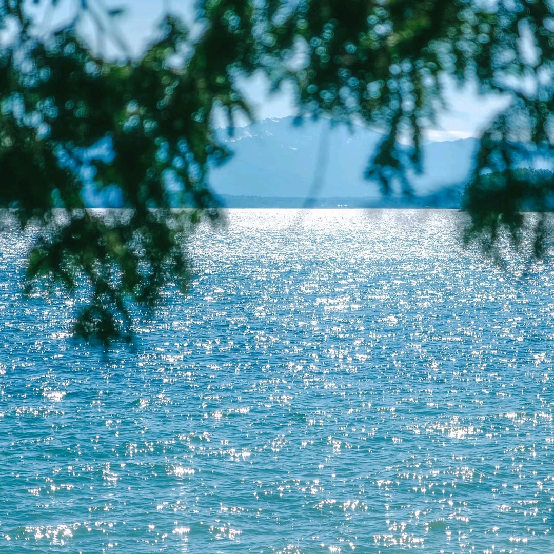 水