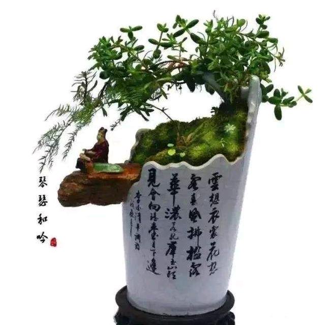 梦想