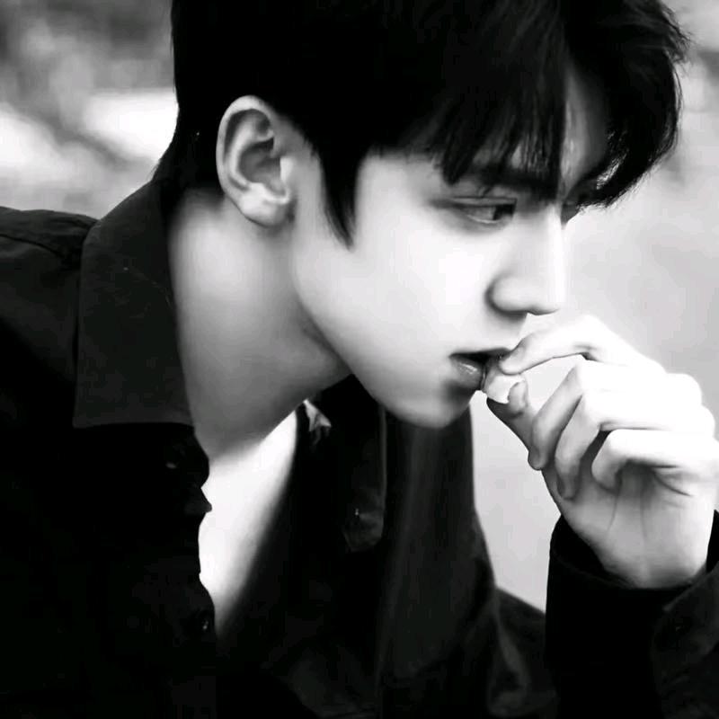 骑着马车去北京