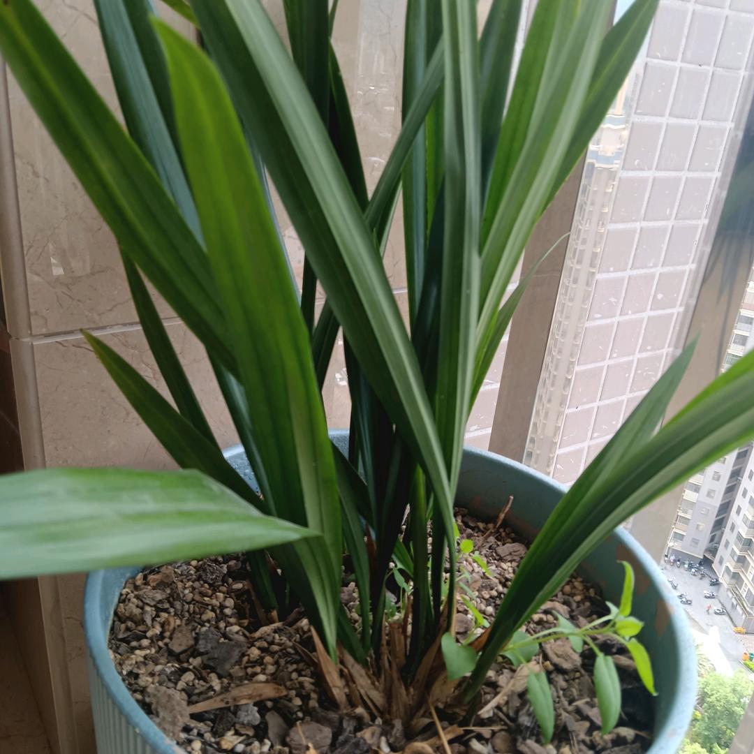 郝邵文生活好物分享