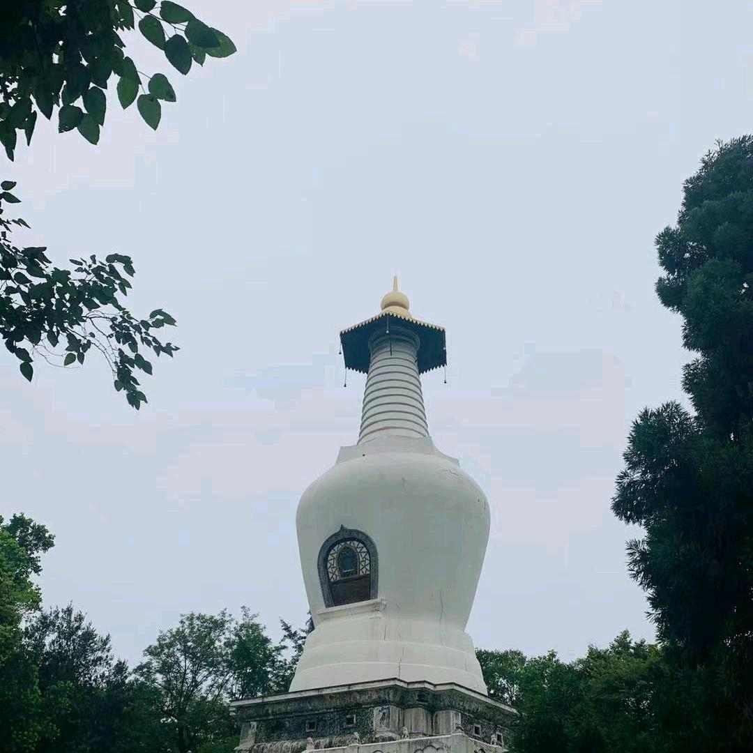 老王