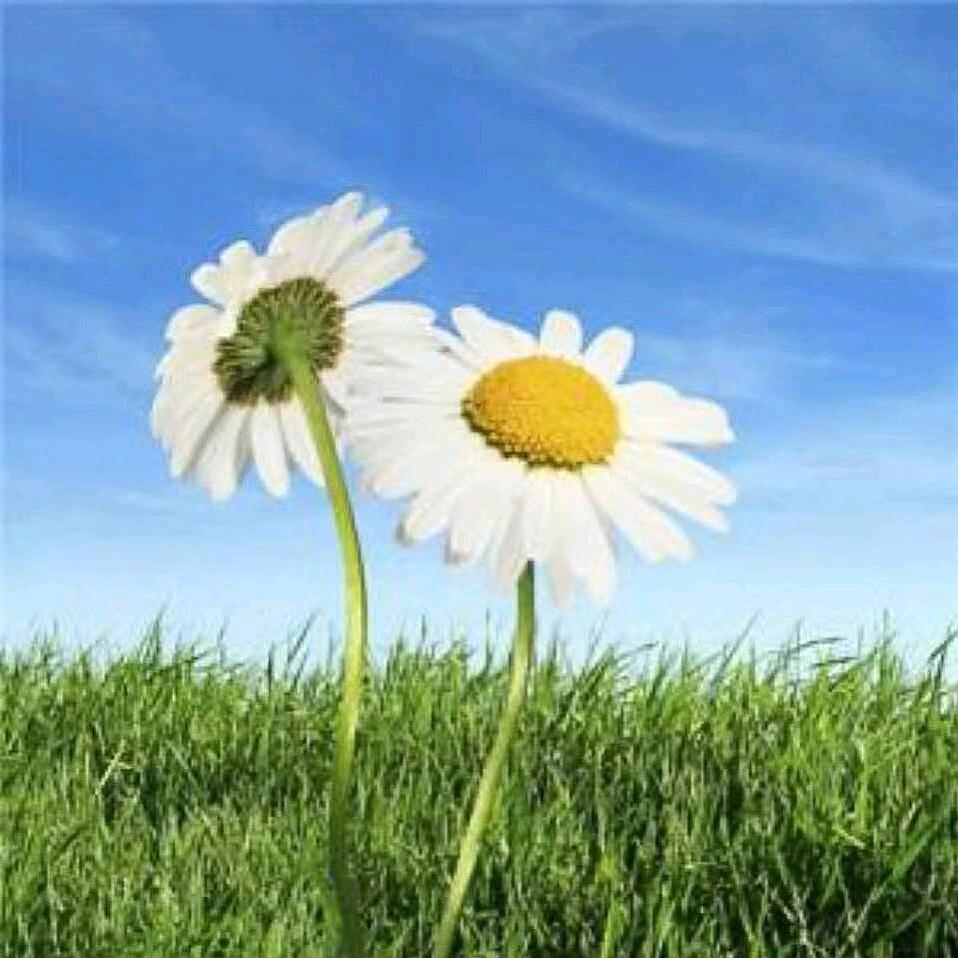 康乐盲人按摩店