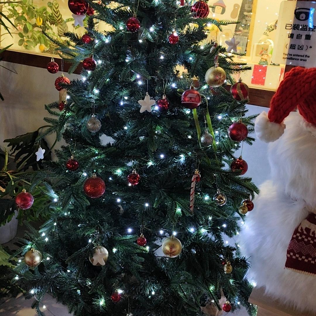 幸福快乐每一天🌺🌹🌷