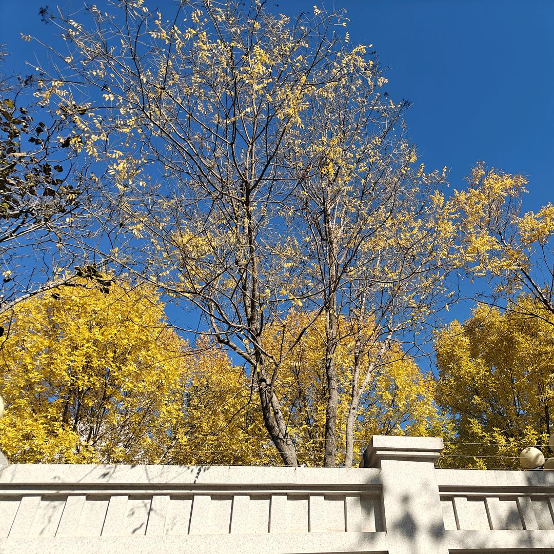 且行且惜