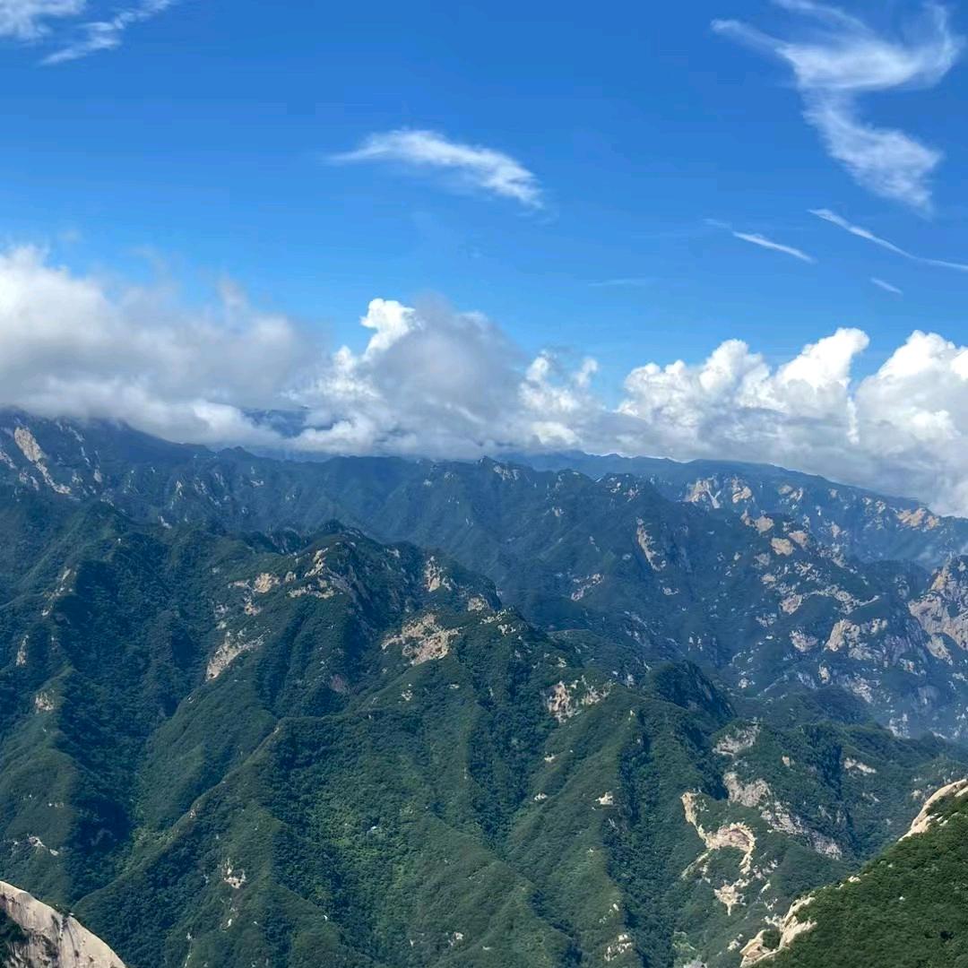 修心