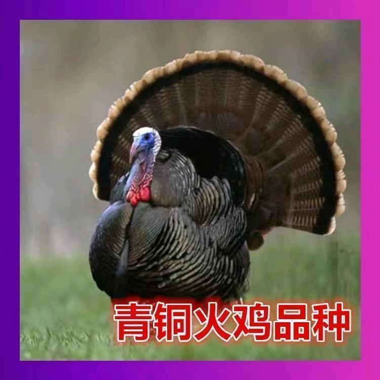山东泽瑞养殖有限公司