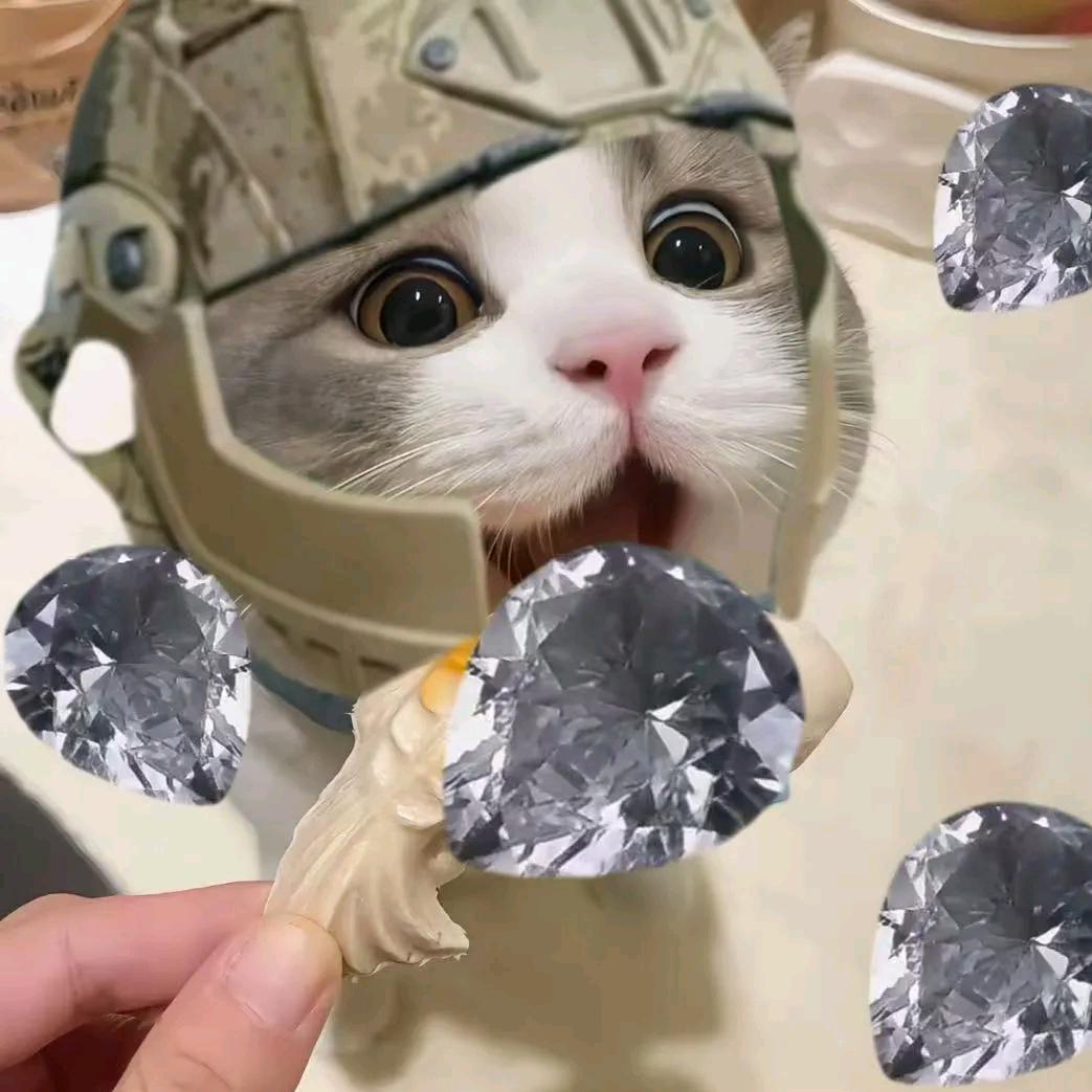 暴躁破产鼠