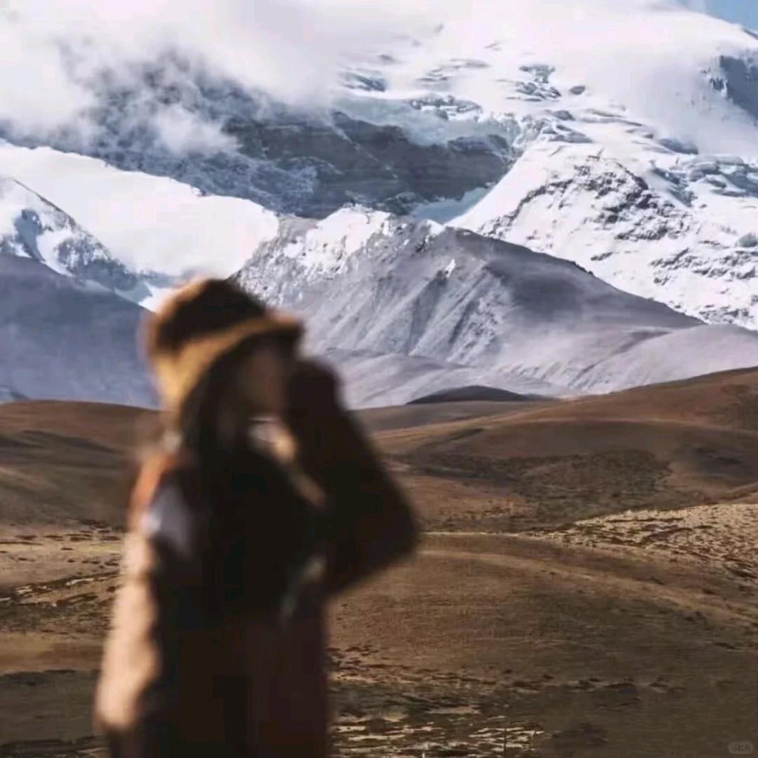 奶熊布偶ᵃʳᵐʸ=͟͟͞͞ʕ•̫͡•ʔ