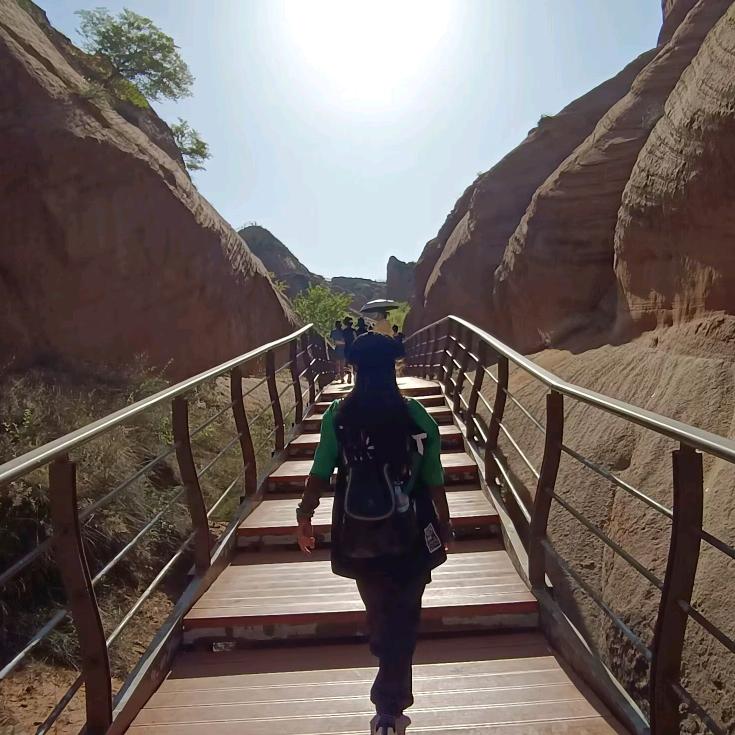 冬梅绽放岁月静🌺