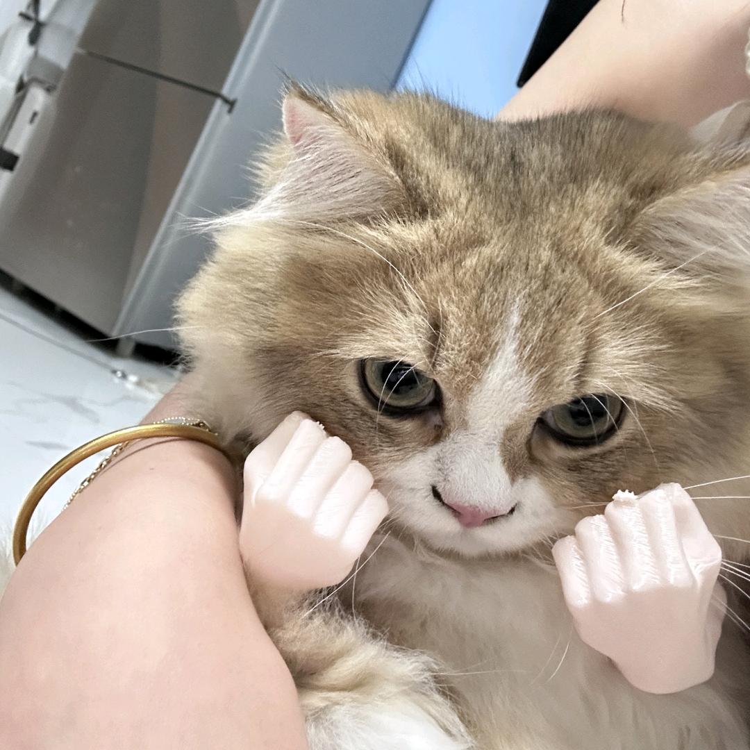 一梁九卿