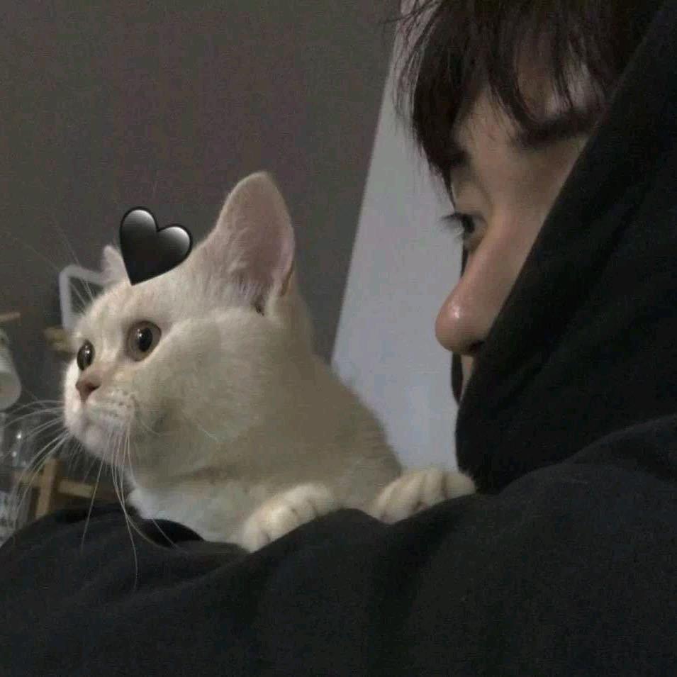是猫猫不是修勾