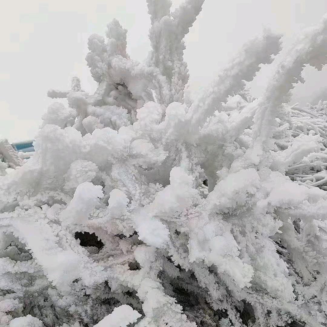 2024✔*^O^*一切随缘