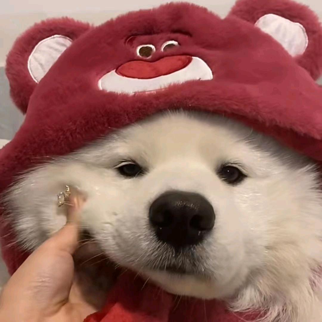 唐唐不吃candy