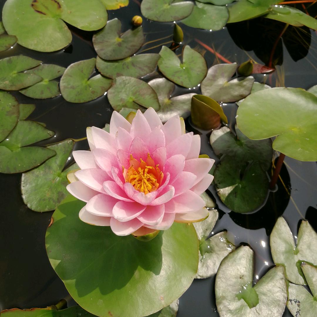 专业设计—效果图制作  绮幻