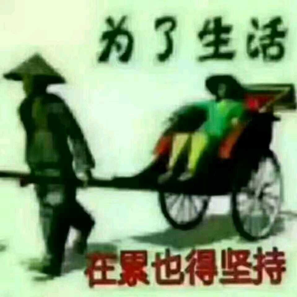 春暧🌸开
