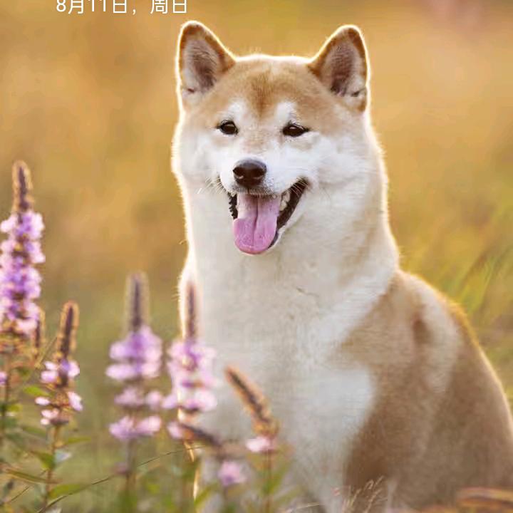 富硒农产品