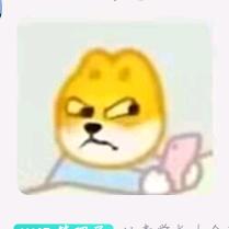 国网程实学长