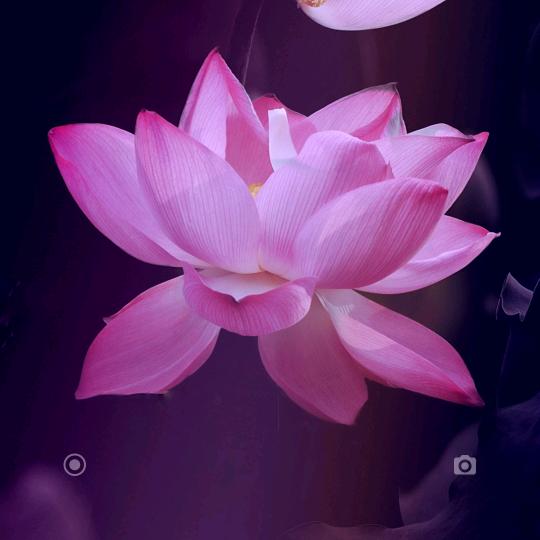 开心每一天60后老太太