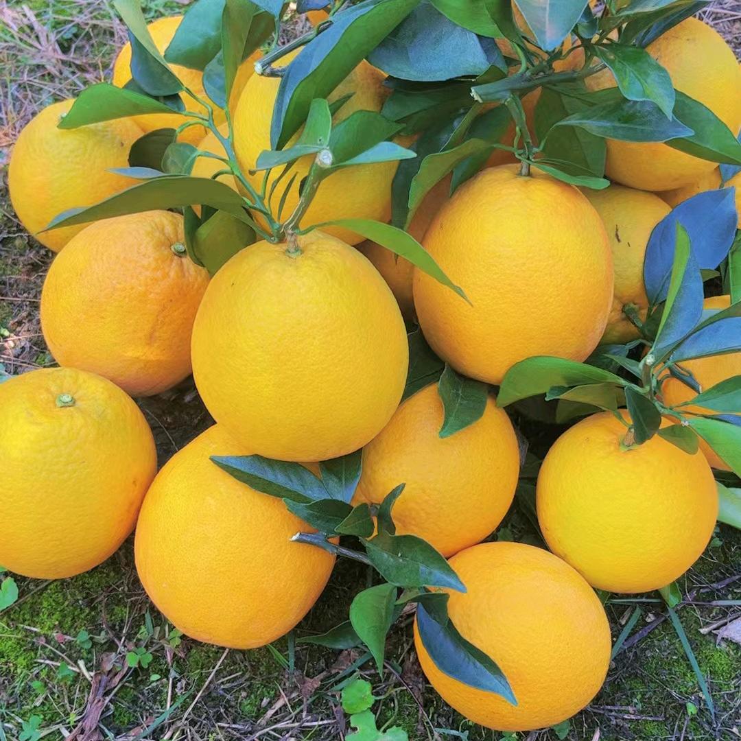 @ʸい晓﹉: 明明有家庭，却没有依靠，明