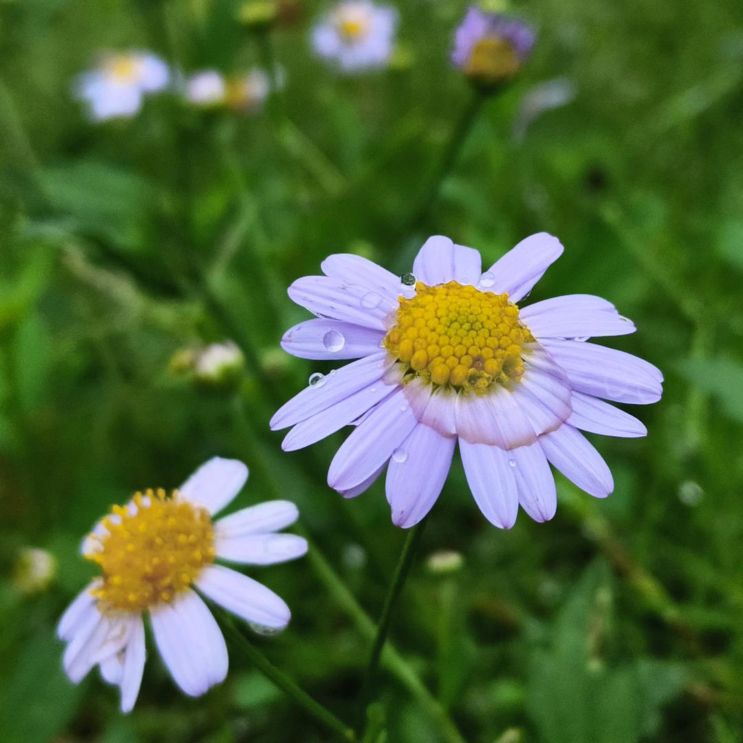 ღᩚ᭄看淡一切ᨶ႒ ᭄