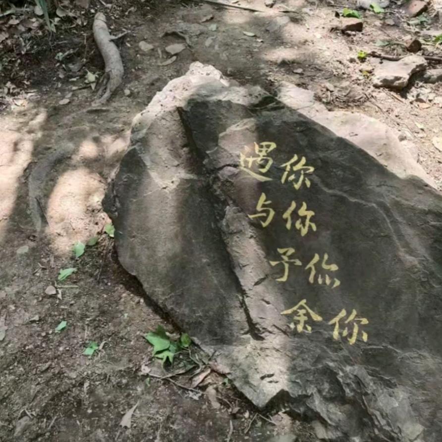 星辰独守