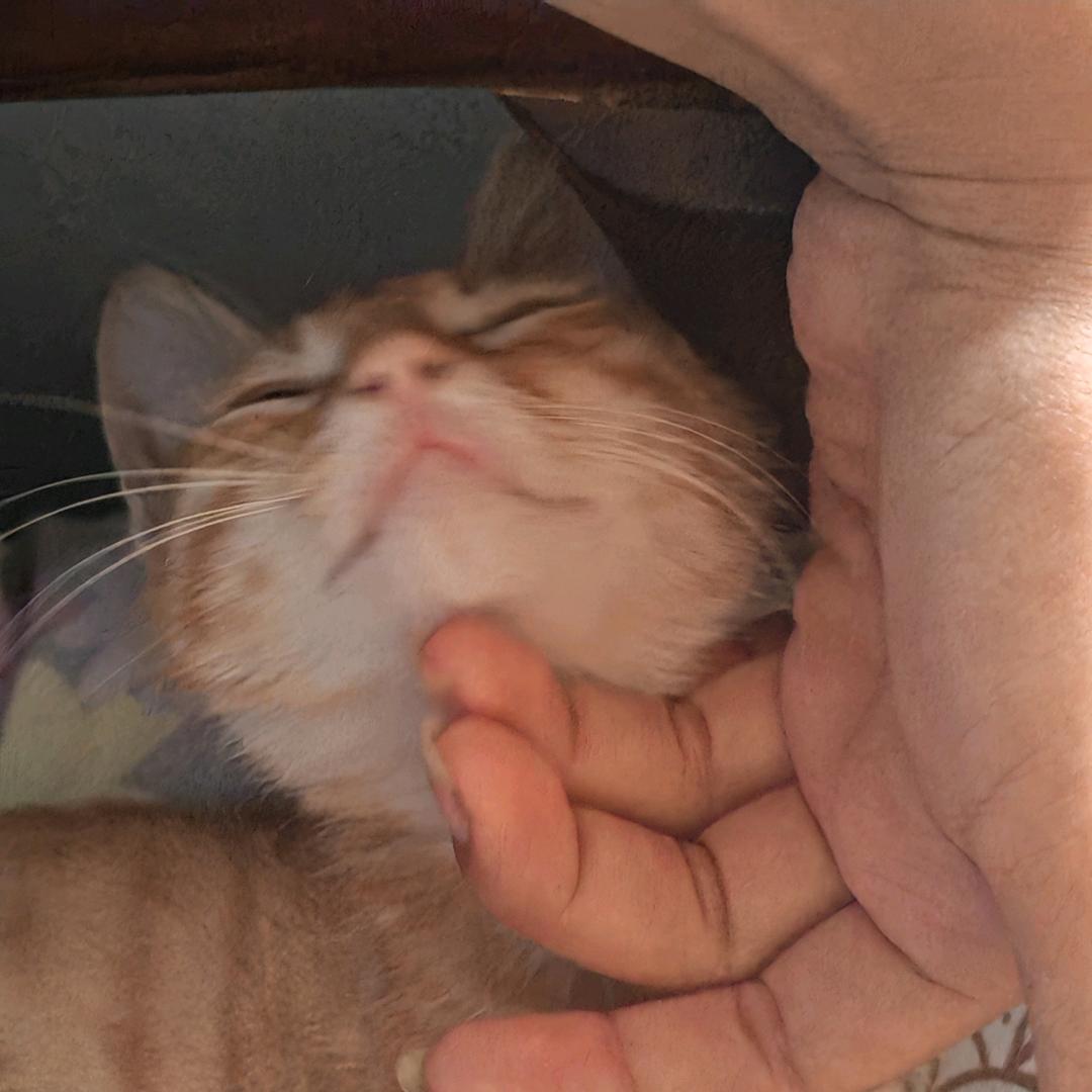 玛丽