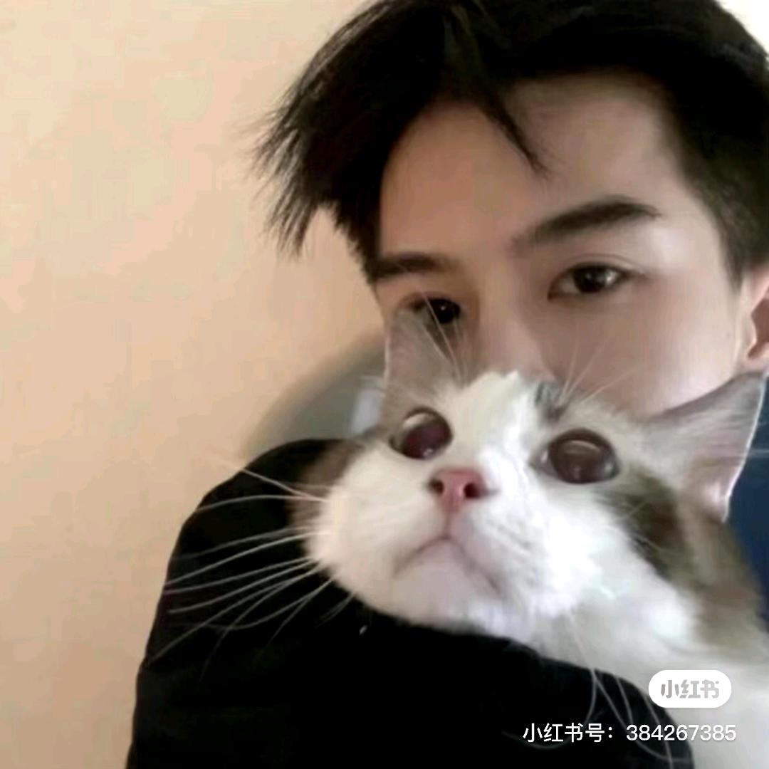 大鹅大鹅你别跑