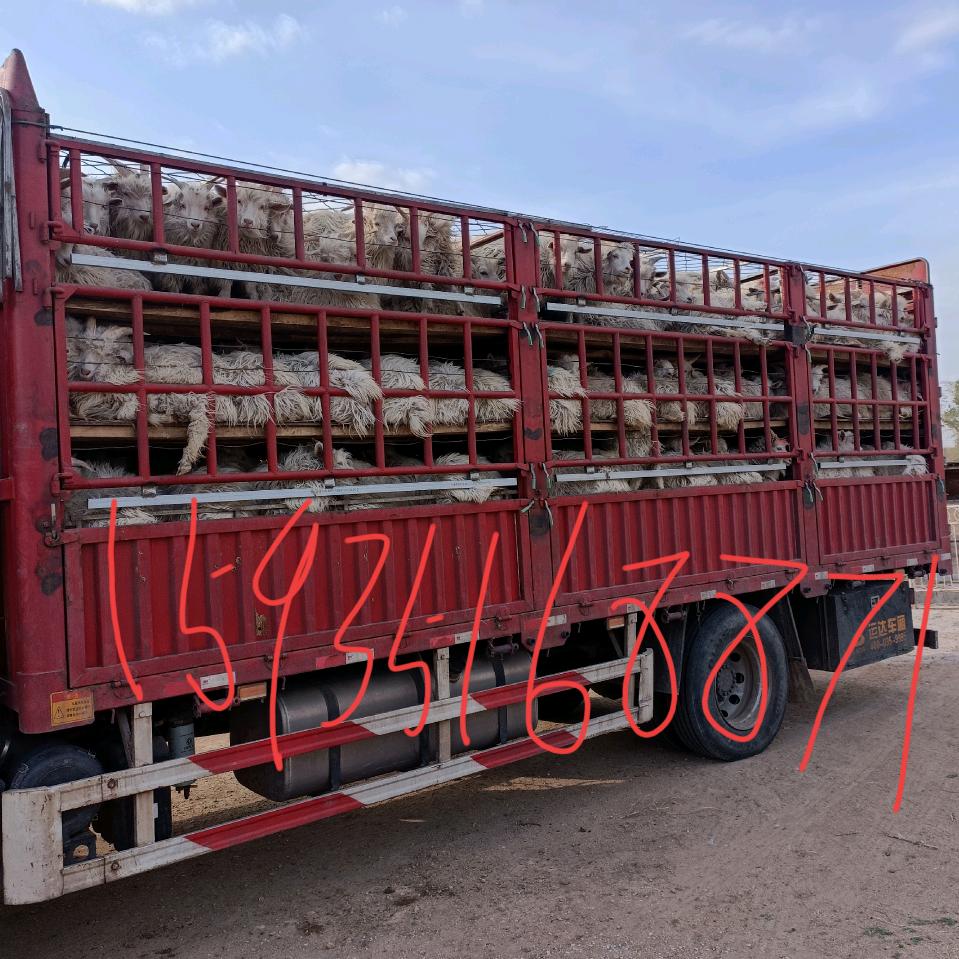 过好每一天，高