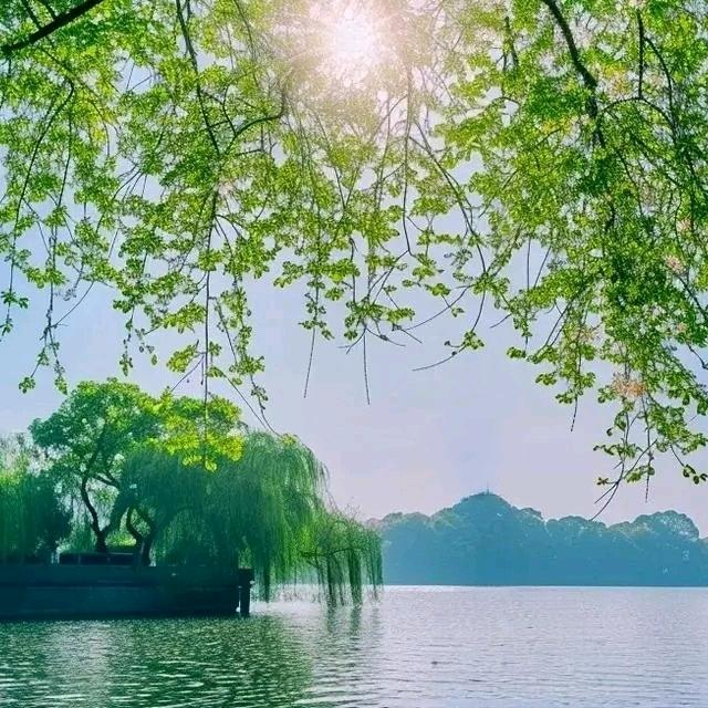 淇橙🌻