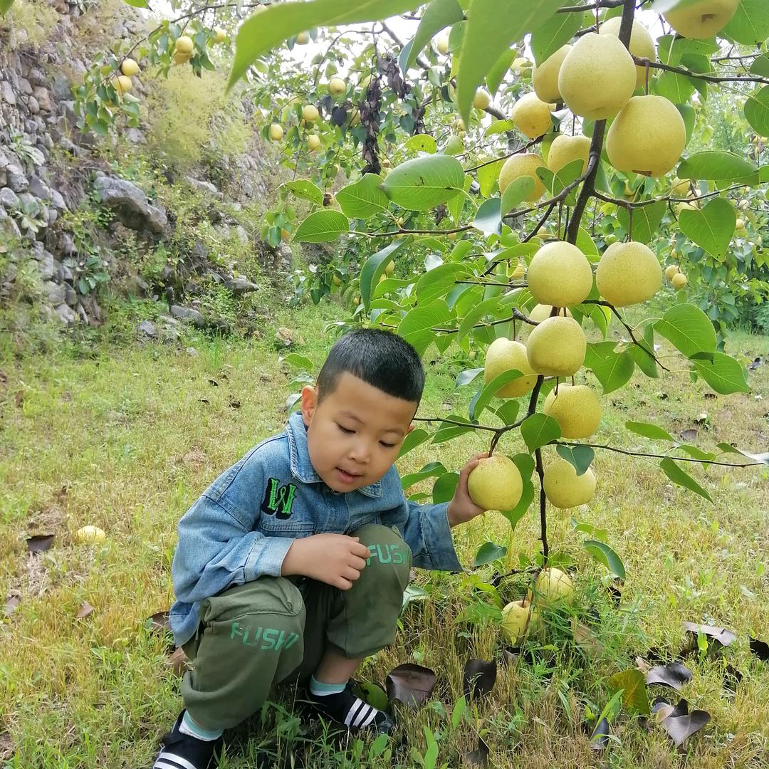 沙沙
