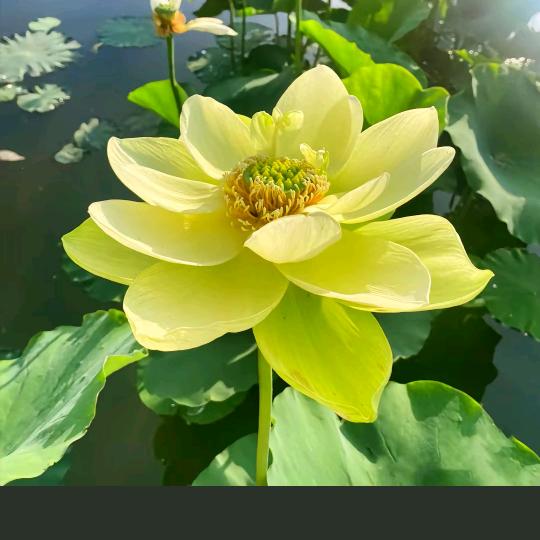 周宗华、