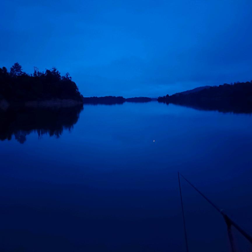 🚗🚕🚙🚌🚎🏎🚓🚑🚒🚐