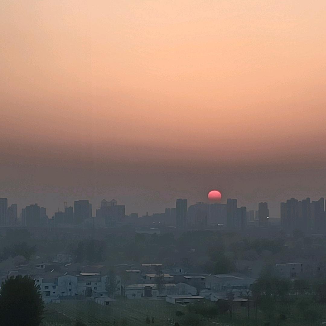 孙