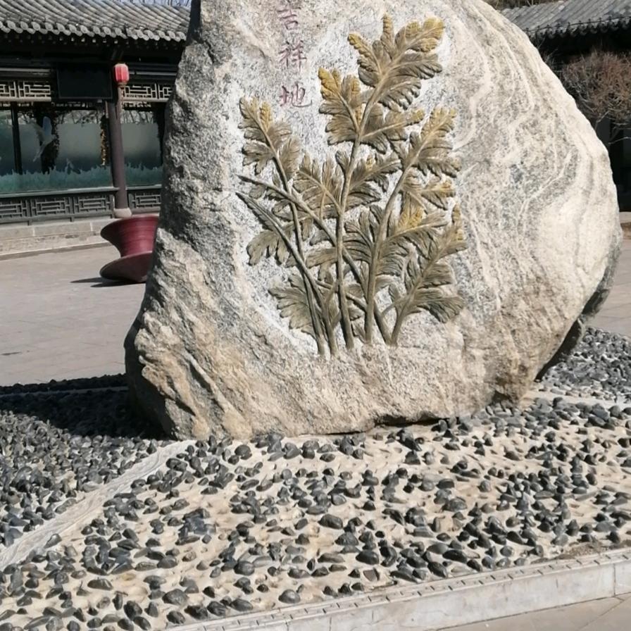 版权所有