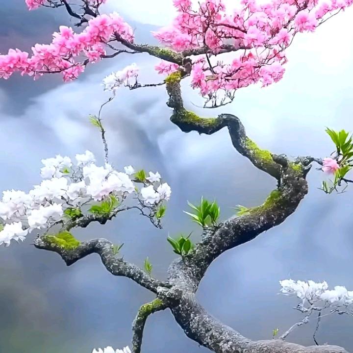 溪城&小郭