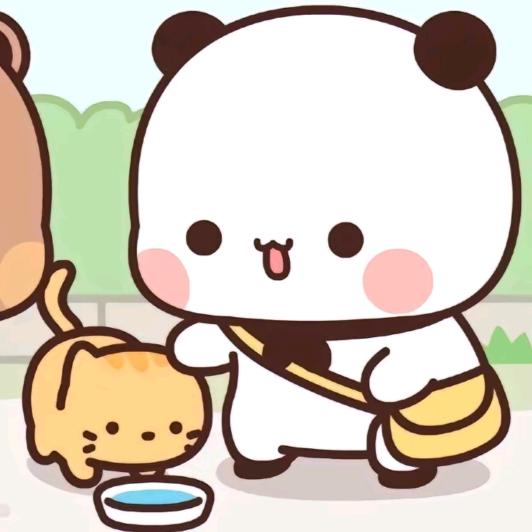 琪琪.