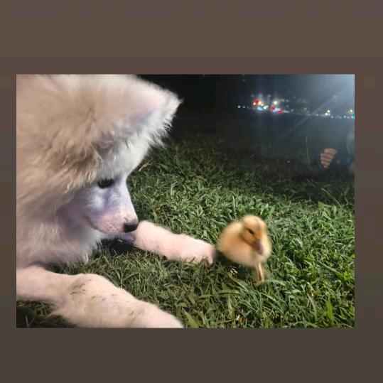 社会你阳哥😃（互关互粉）