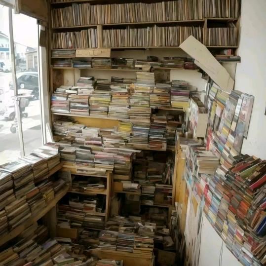 AI缘辅导——林