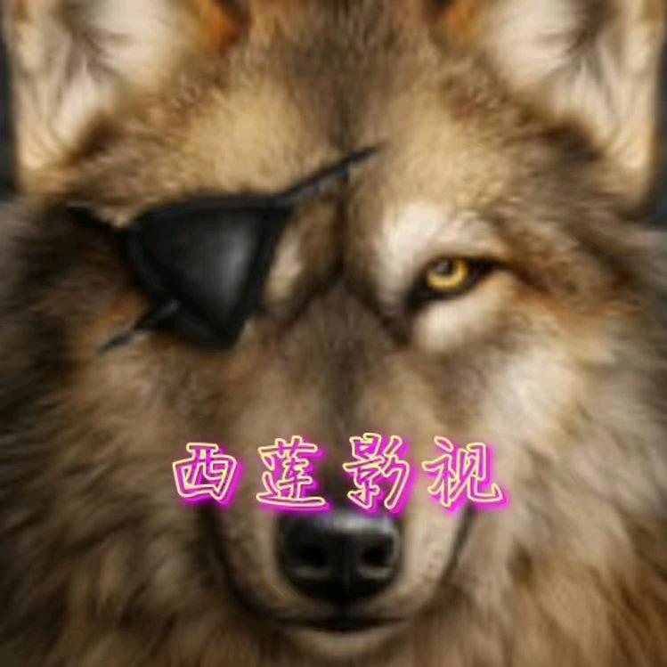 西莲影视