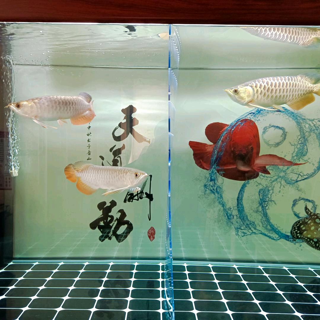 王老二{绝处逢生}