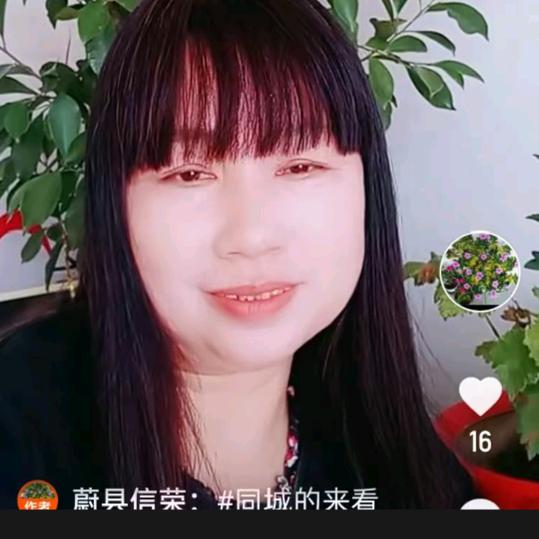信荣中介
