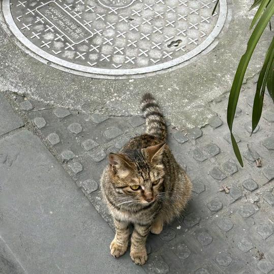钱忠