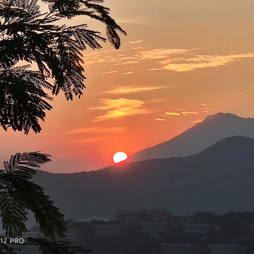 小谢收机（支持上门回收）