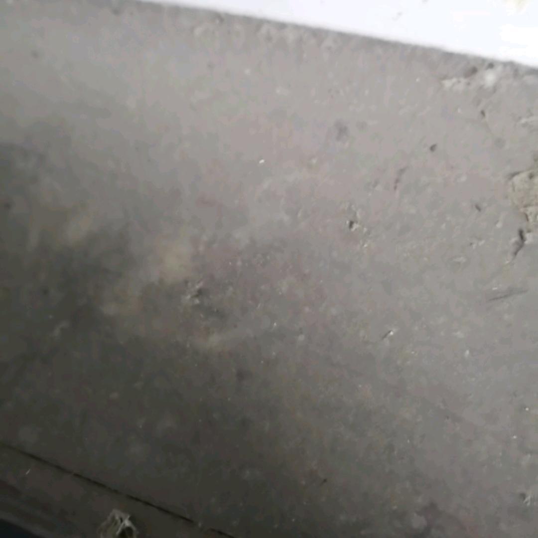 张新梅